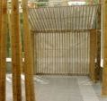 Bamboo installation
